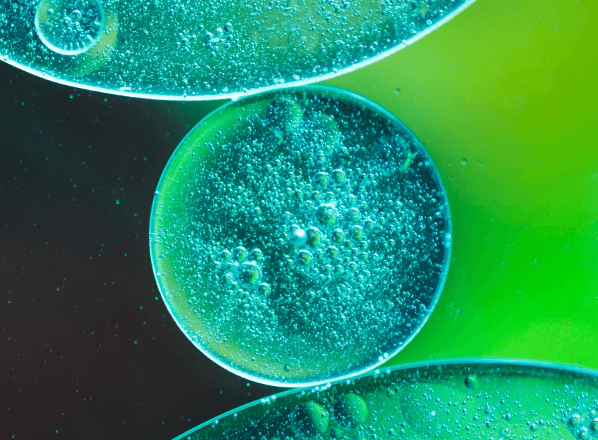 Green Hydrogen Infrastructure